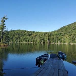 Meet your Posher, Maya